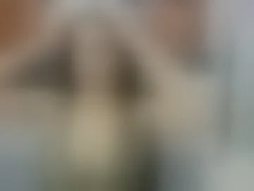 _honey_bella