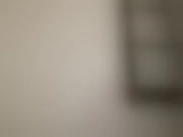 2besties1cam