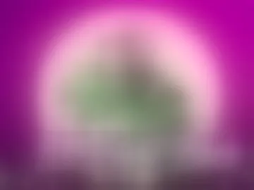 adara_conor