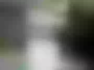 afroditapolo