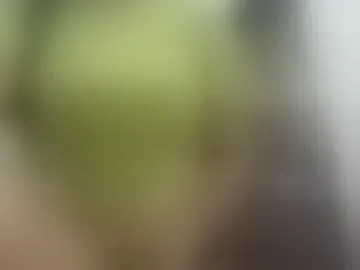 aira_sexy