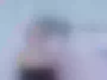alannacaarteer