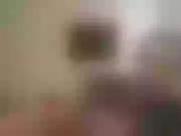 alessandraconrado