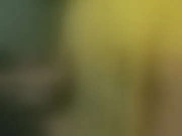 alex_volo
