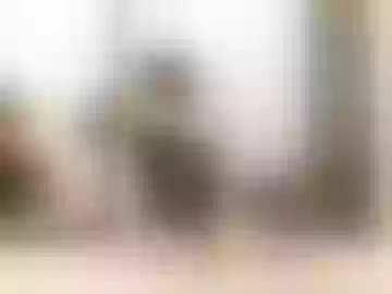ali_monroe12