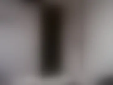 alphah_hunk