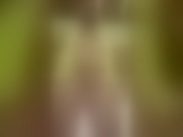 alphareign85