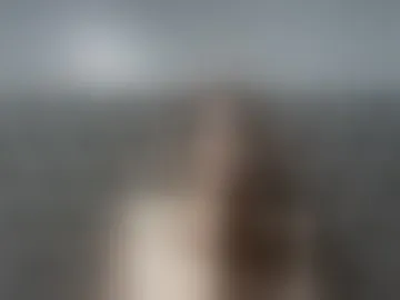 aluv2lust