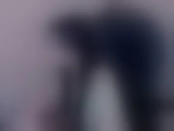 alyaskawinter