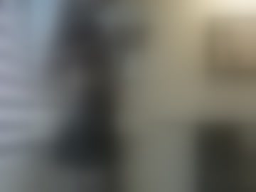 analsofia15
