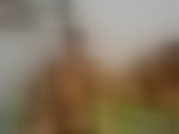 arnoldhot16