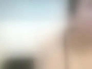 asondycraxy