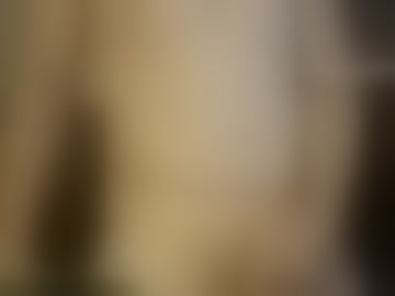assloveplease