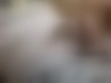 astleitx