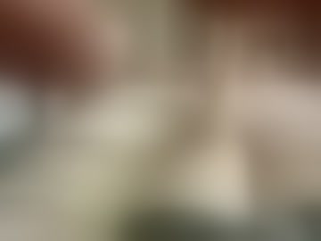 aussiedaddy111109491