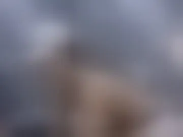 austin_fox31