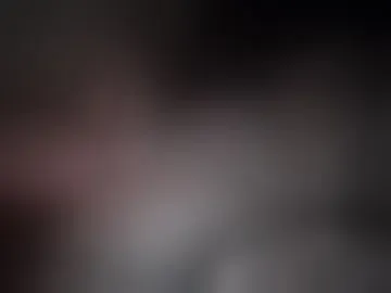 baileybaileybailey743386