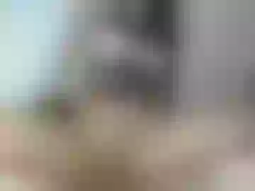 barbiefoxx