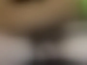 bibisecret