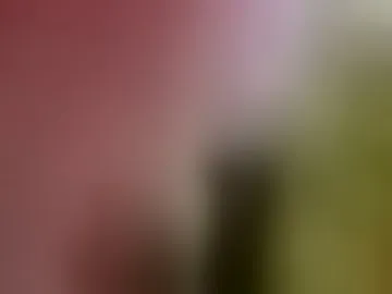 bigperfitt