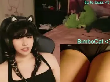 bimbocat