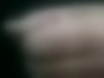 bobrossisalive