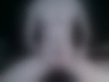 brad134482