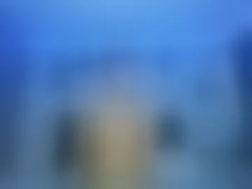 brandonandradre