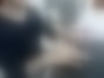 bruno_jv9