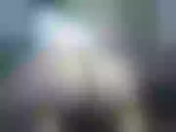 bunnyela