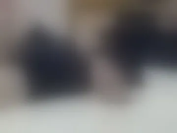burnblaze24