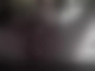 burnoutbirdy3