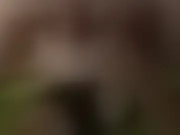 buzzek