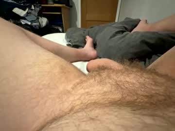 cal13291271