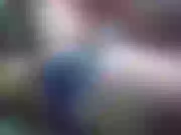 chelseabbtranny