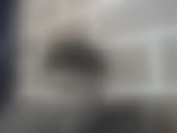 choconave23