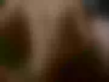 collegedick1341