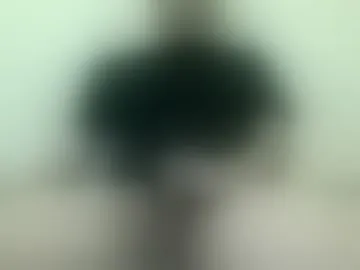 cummonster94
