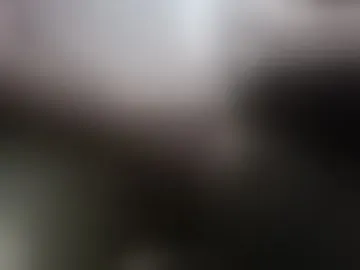 curiousdaddy21