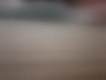 curiousvoyeur00