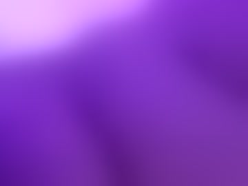 dakotabailey2652