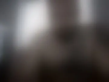 damicompanysrl