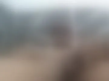 dani9075238