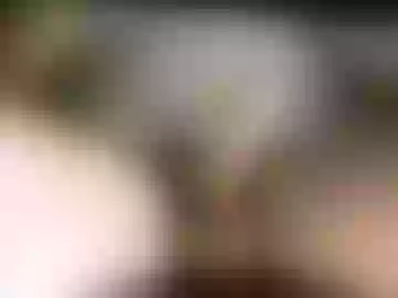 danny_hp