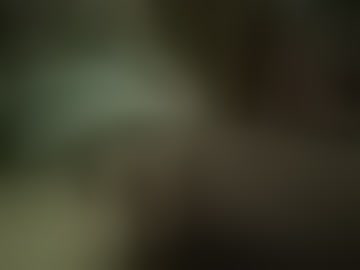 dickforyou333