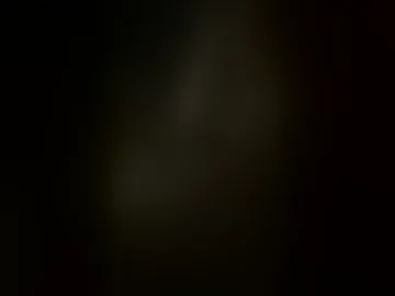 discodollie