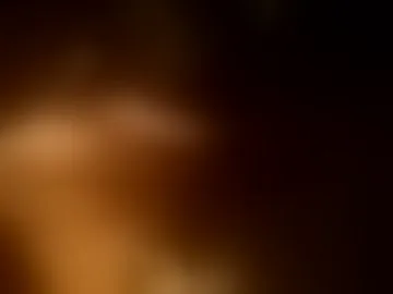 dogchain4444149311