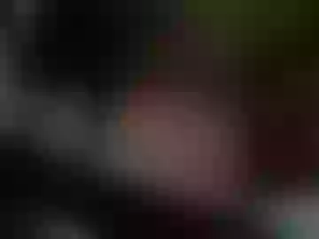 dws111159822
