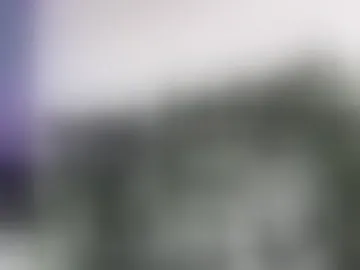 eeros_ellis