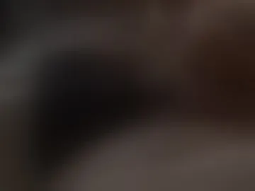 eldoctortuyo